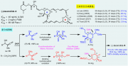 上海有机所在聚酮天然产物的合成领域取得进展